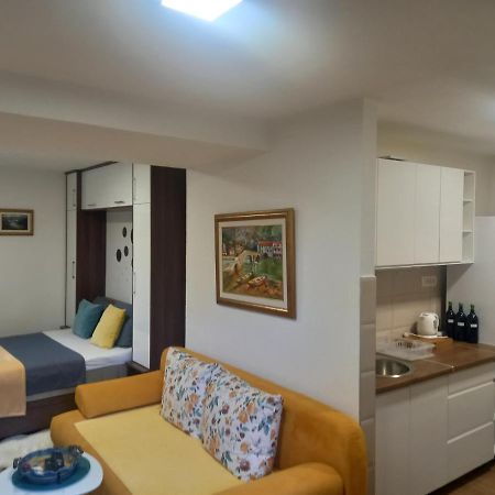 T-A Apartment Rijeka Crnojevića エクステリア 写真