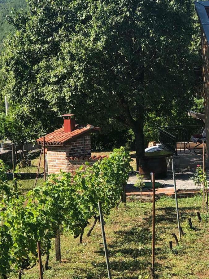 T-A Apartment Rijeka Crnojevića エクステリア 写真