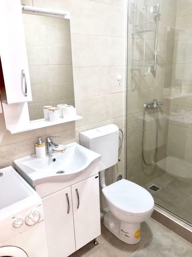 T-A Apartment Rijeka Crnojevića エクステリア 写真